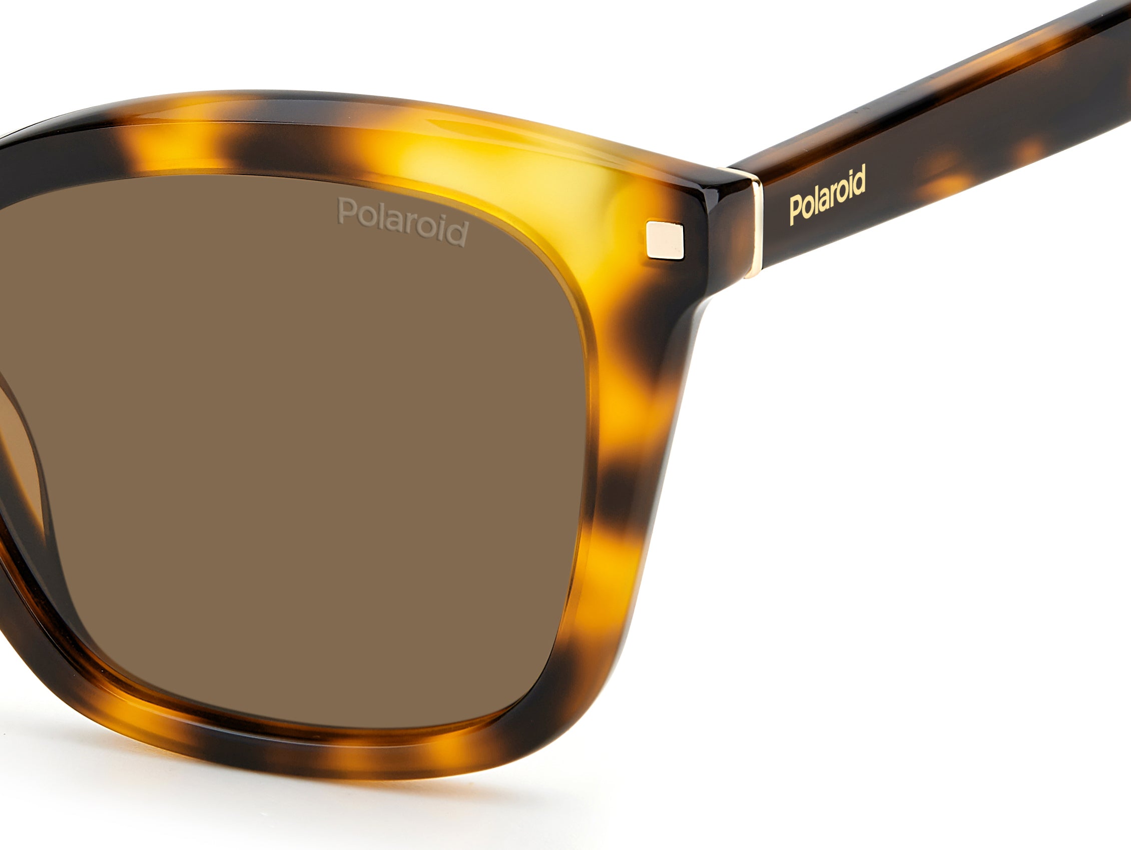 Polaroid Square Sunglasses